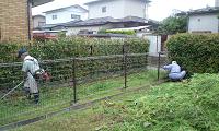d0261484_1735175.jpg