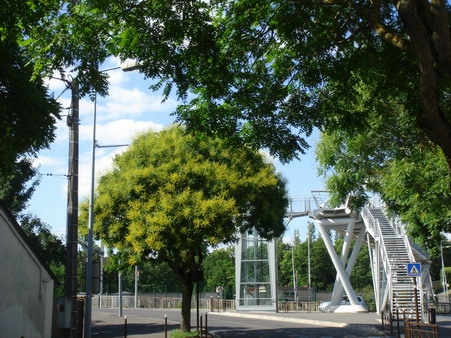 a0247585_5414374.jpg