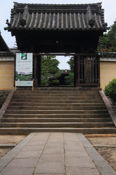 e0051888_3101434.jpg