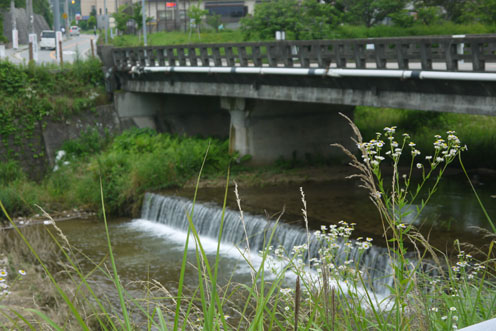 f0222692_13285997.jpg