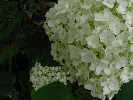 f0178897_8164151.jpg