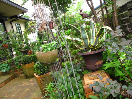f0178897_8184481.jpg