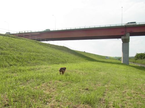 a0218499_1431688.jpg