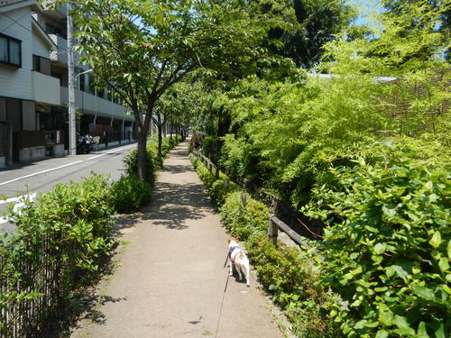 a0229205_20323468.jpg