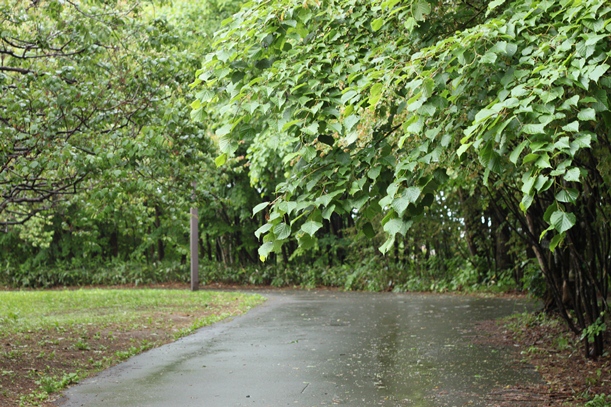 a0109914_1292776.jpg