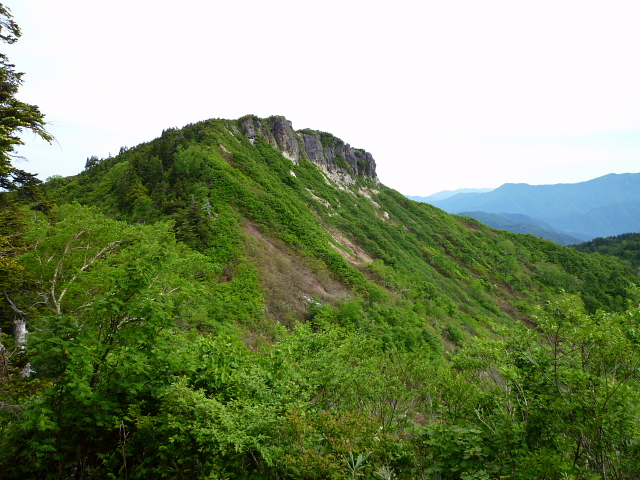 d0170615_6191062.jpg