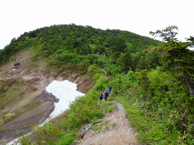 d0170615_6193462.jpg
