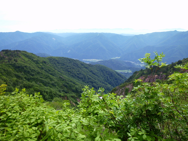 d0170615_620765.jpg