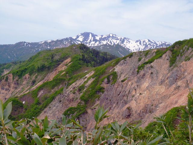 d0170615_624362.jpg
