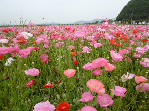 a0157619_22304430.jpg