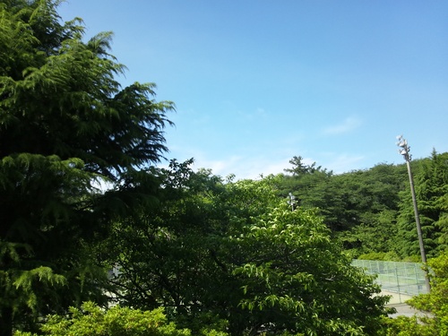 c0150520_13204290.jpg