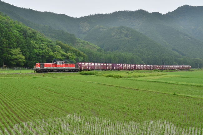 f0140720_2323361.jpg