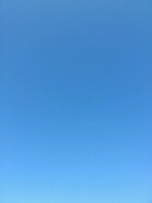 b0182725_15242947.jpg