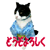 a0098027_176871.gif