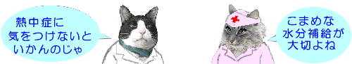 a0098027_22593839.gif
