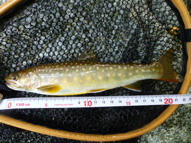 b0195927_23115130.jpg