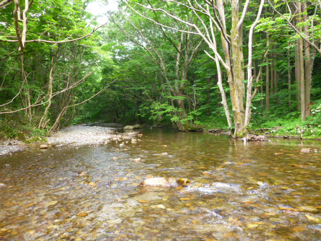 b0195927_2375169.jpg