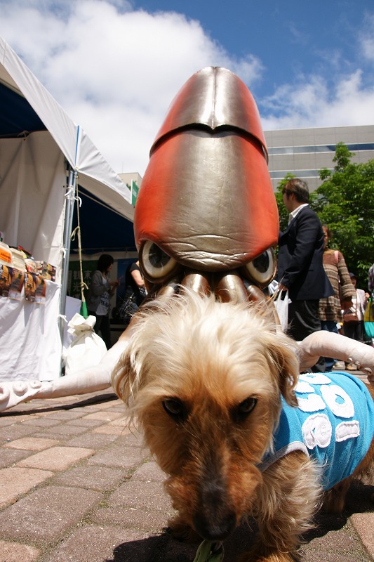 f0046128_77729.jpg