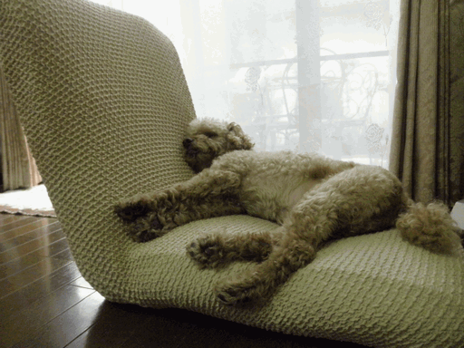 c0136736_12583660.gif