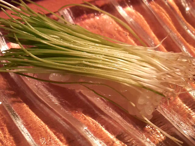 a0105740_1255547.jpg