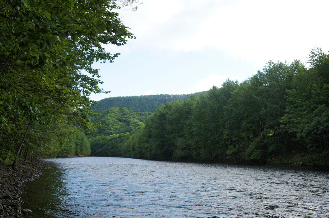 b0072541_117347.jpg
