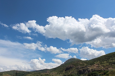 d0195041_2335195.jpg