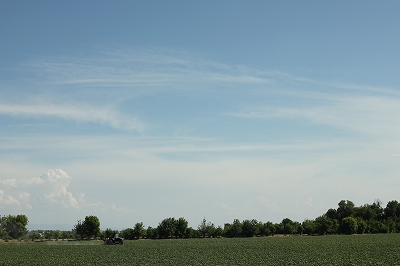d0195041_239727.jpg
