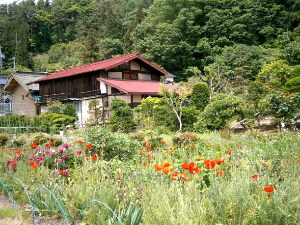 c0002943_11242267.jpg
