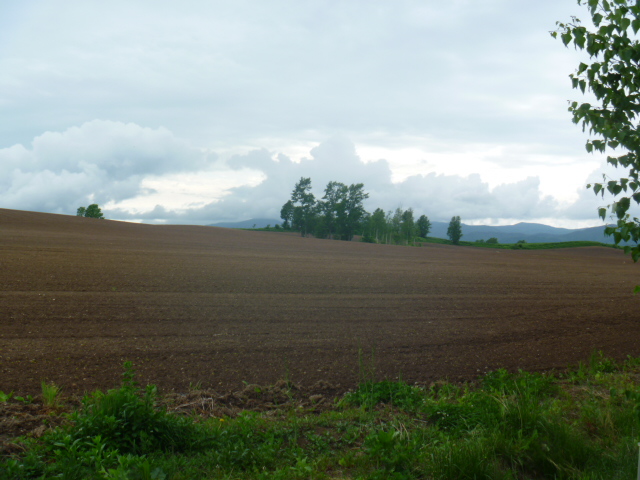 a0156548_021390.jpg