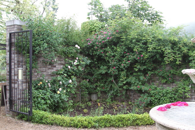 a0258549_21524222.jpg