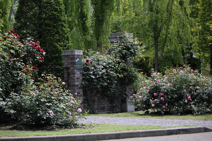 a0258549_21531626.jpg