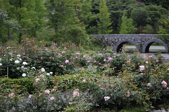 a0258549_21573423.jpg