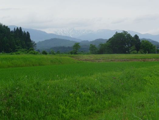 b0220251_1650141.jpg