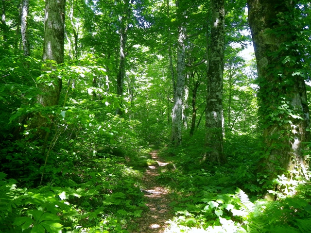 b0177355_23133561.jpg