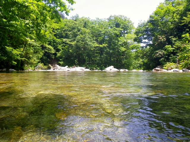 b0177355_23143722.jpg