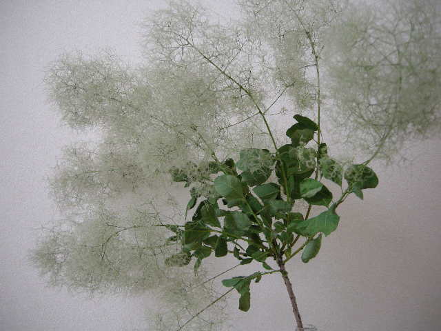 c0243355_1303939.jpg
