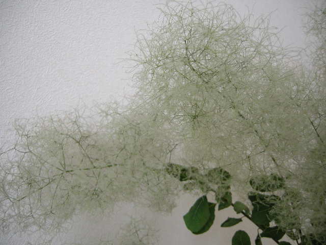 c0243355_130948.jpg