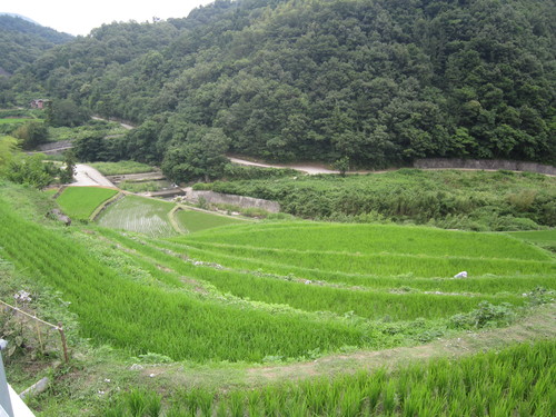 d0055259_16352234.jpg