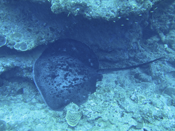 b0062363_19114999.jpg