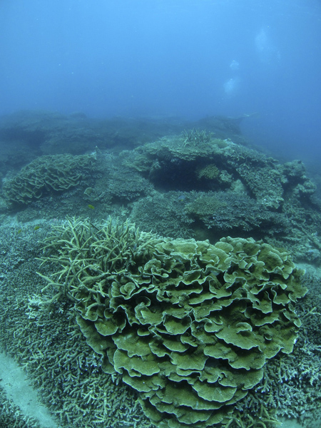 b0062363_19142921.jpg