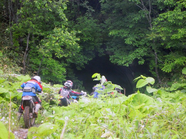c0198263_20594562.jpg
