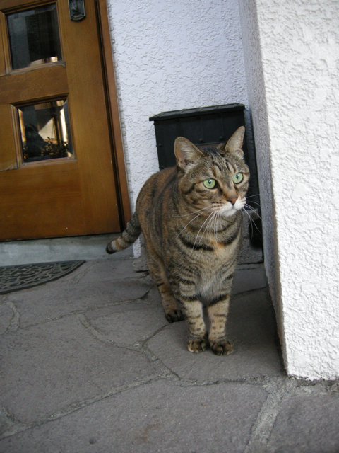 d0118965_18383532.jpg
