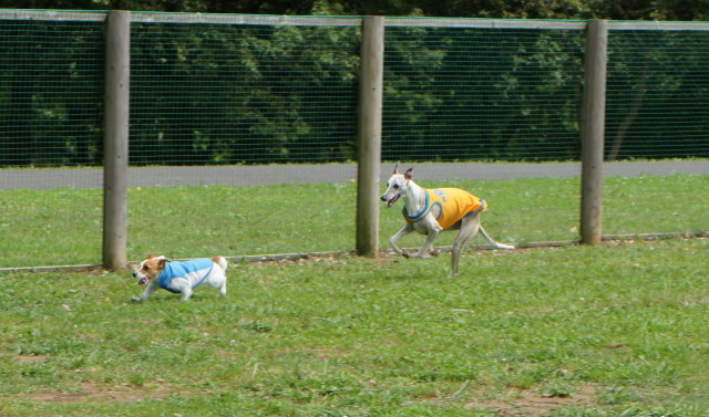 e0223965_21225063.jpg