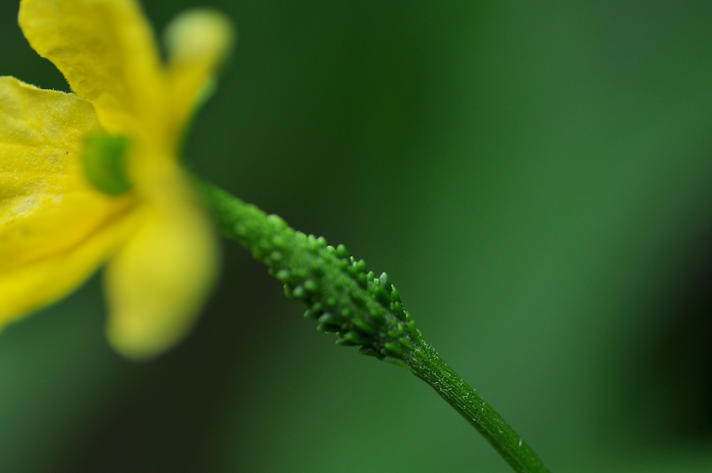 a0262369_218198.jpg