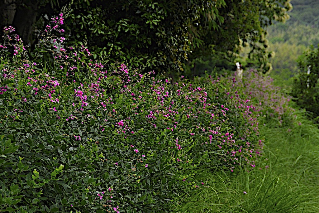 a0262369_2195012.jpg
