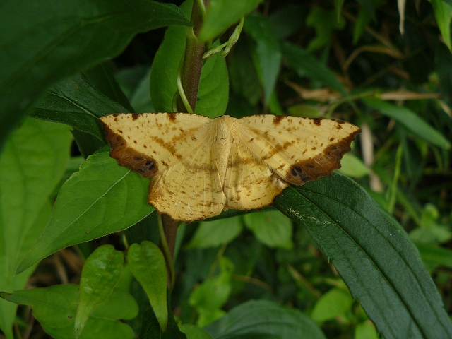 d0019074_4473088.jpg