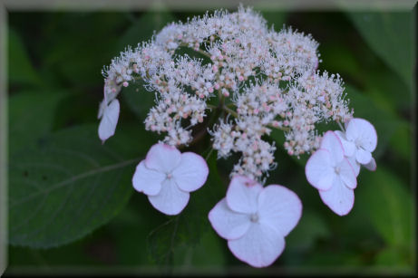 e0099375_2213090.jpg