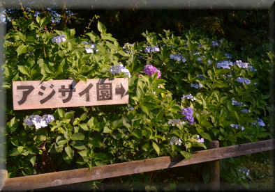 e0099375_2262850.jpg
