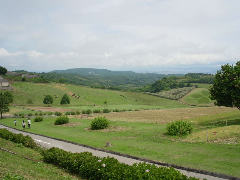 c0177576_1119146.jpg