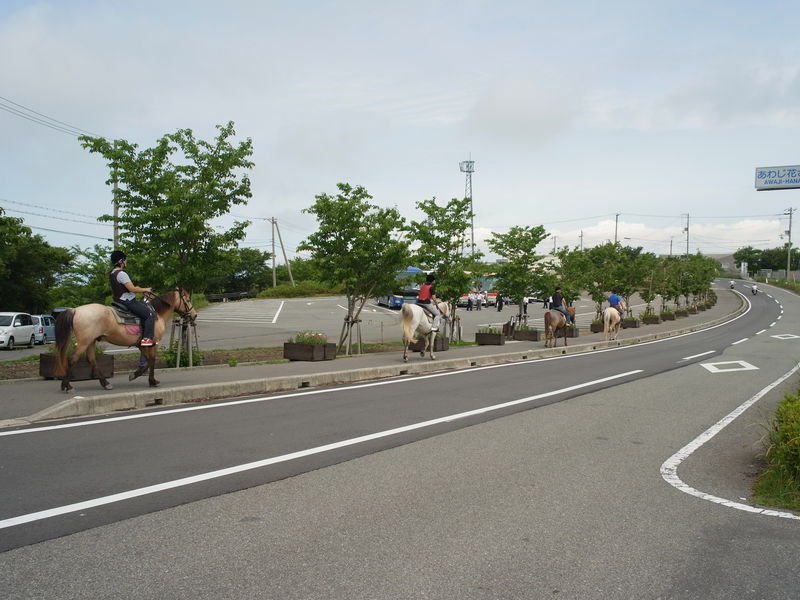 c0177576_1123344.jpg